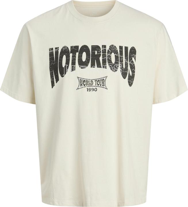Actual product image Jack & Jones Plus Size T-shirt T-shirt (6XL)