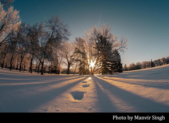 Produktbild Tokina SZ 8mm F2.8 MF Sony E-Mount (Sony E, APS-C / DX)