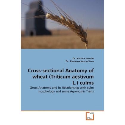 Cross-sectional Anatomy of wheat (Triticum aestivum L.) culms, Fachbücher von Shamima N. Sima, Nasima Joarder