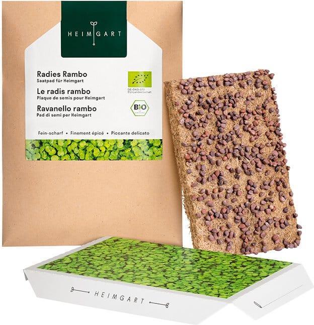 Heimgart Radieschen Rambo (Keimlinge)