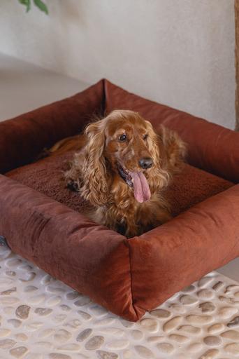 Produktbild Designed by Lotte Liegebett Ribbed (Hund)