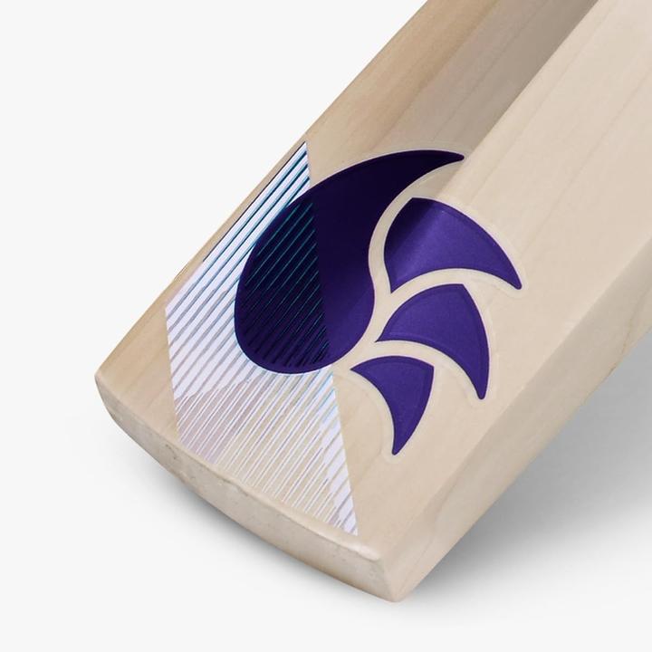 Actual product image DSC Blu 2000 Willow Cricket Bat (33.86")