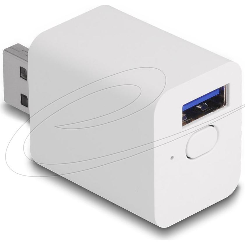 Delock, Spina intelligente, WLAN EASY-USB Schalter Smart Life