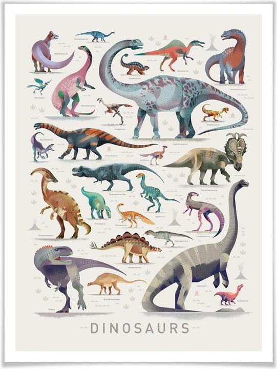 Produktbild Trenddeko Dinosaurs (60 x 80 cm)