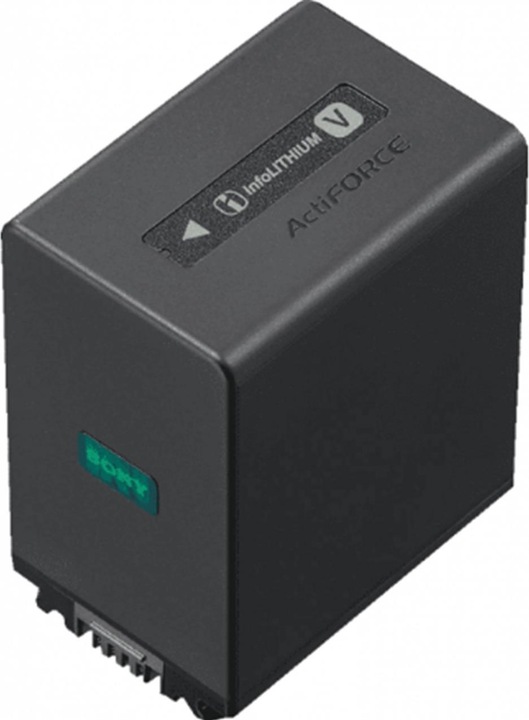 Sony Np-Fv100a (Rechargeable battery)