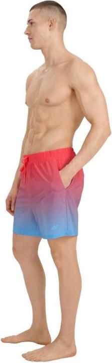Image du produit 4F Herren-Badeshorts (M)