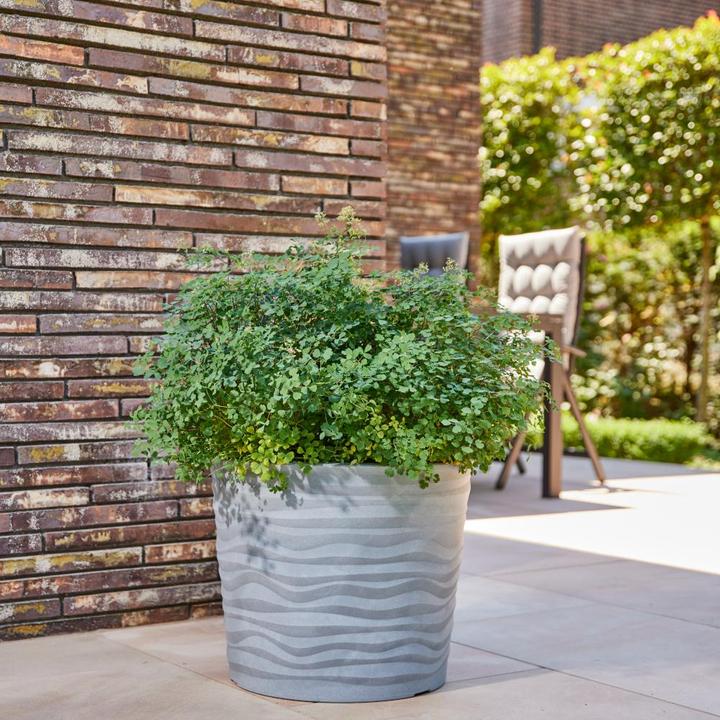 Produktbild Siena Garden Madrid (50 cm)