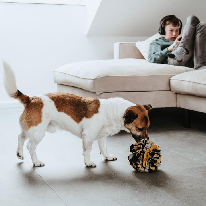 Immagine prodotto Hunter Sniffing ball Eiby (Palla giocattolo per cani)