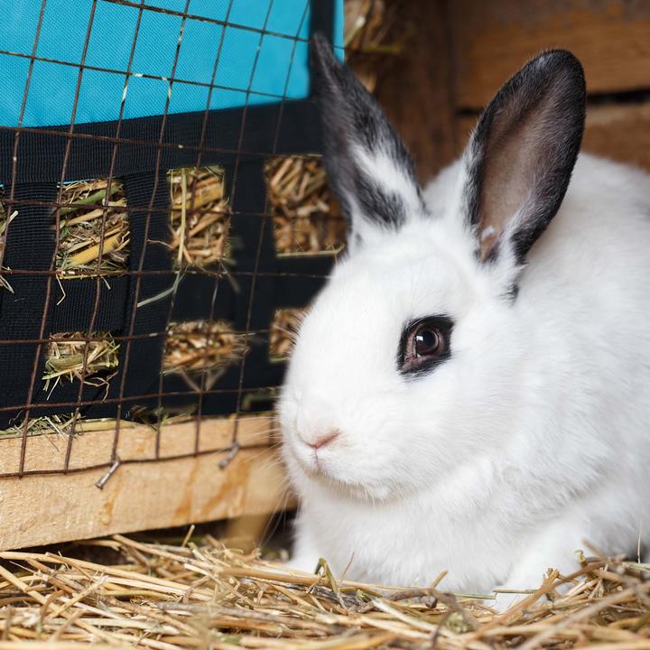 Actual product image Relaxdays Hay bag