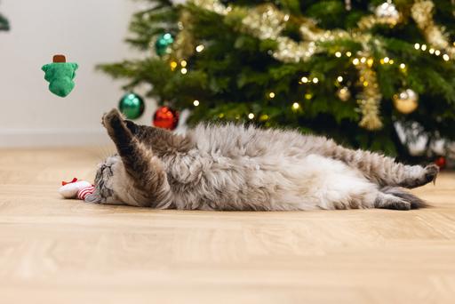 Produktbild Beeztees Weihnachtsspielzeug für Katzen (Plüschspielzeug Katze)