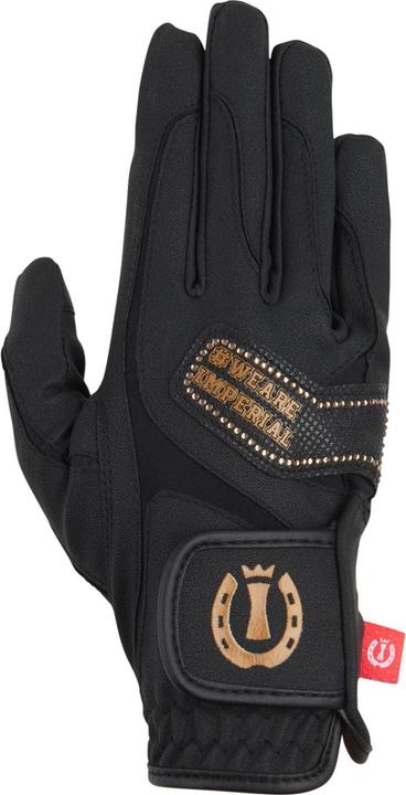 Immagine prodotto Imperial Riding The Basics (XXL)