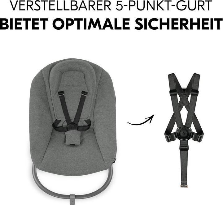 Actual product image Hauck Hochstühle Alpha Plus Cork 4-tlg. Newborn Set - Hochstuhl (Highchair)