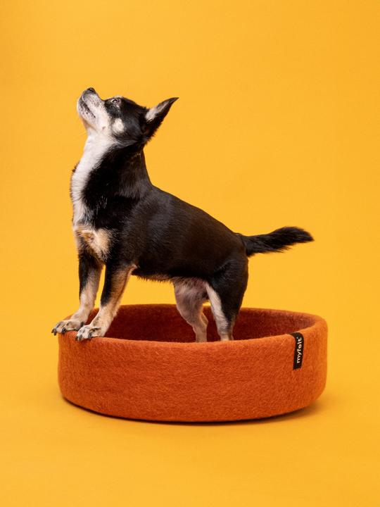 Produktbild Myfelt Lora (Hund)