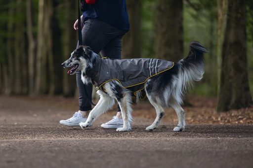 Image du produit Beeztees Manteau de pluie pour chien Seja (XL, Imperméable pour chien)