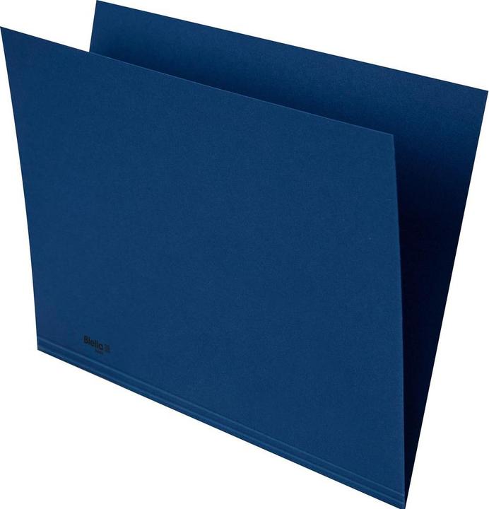 Produktbild Biella RECYCOLOR - Vertikalmappen (A4, 100x)