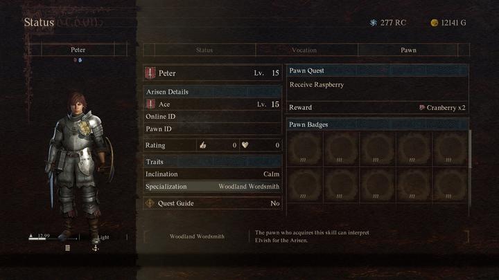Actual product image Capcom Dragon's Dogma 2 (PS5)