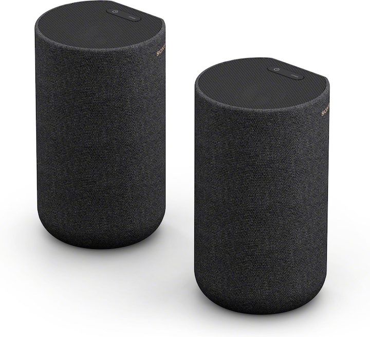 Sony SA-RS5 (1 pair, 180 W)