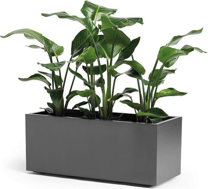 Produktbild Euro3plast Greener Kebe (99.50 cm)
