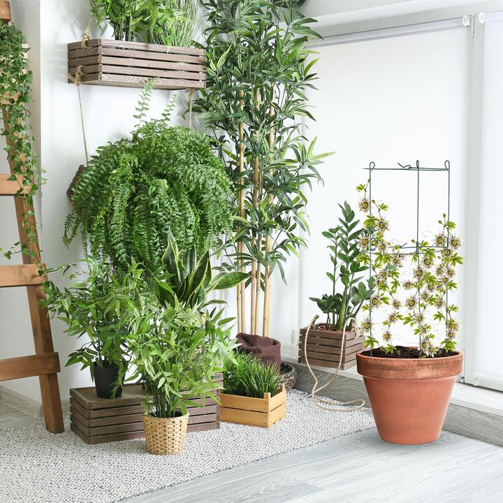 Actual product image Relaxdays 3x climbing aid (26 cm, 26 cm)