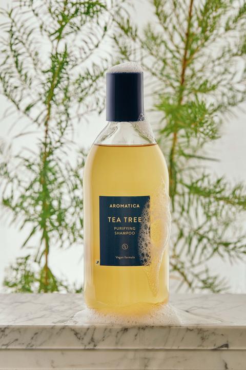 Actual product image Aromatica Tea Tree Purifying Shampoo (400 ml, Liquid shampoo)