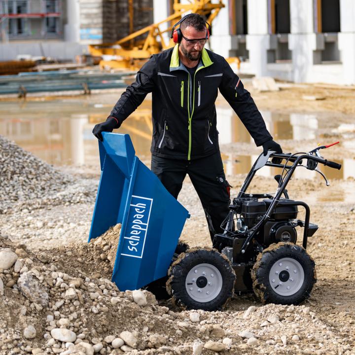 Actual product image Scheppach Dp3000