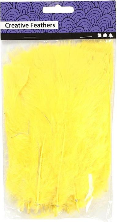 Actual product image Creativ Company Feathers with wire (turkey)