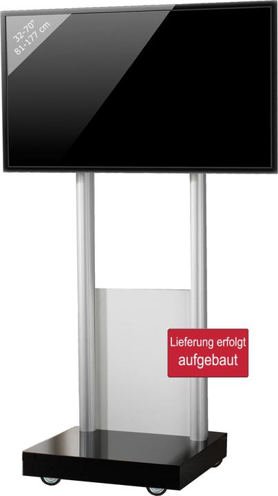 VCM Morgenthaler Monte Visolo 1 - 50 kg - 177,8 cm (70 pouces) - 81,3 cm (32 pouces) - 1 (70", 50 kg)