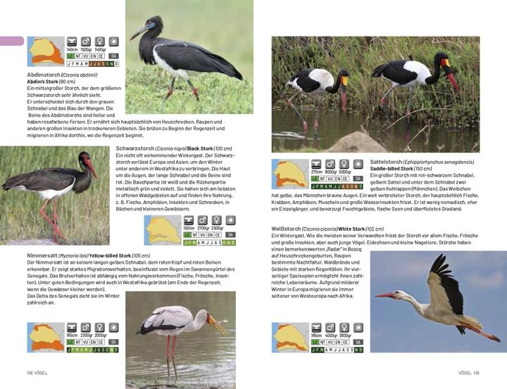Actual product image Afrika Safari Media Safari-Reiseführer Gambia & Senegal (German, Ruud Troost, 2020)