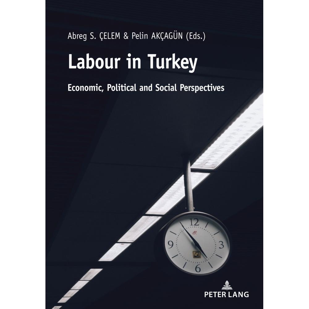Labour in Turkey, Fachbücher von Abreg Çelem, Pelin Akçagün