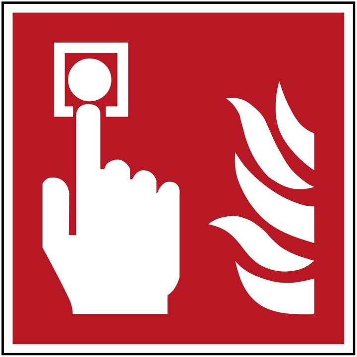 Actual product image Brady ISO safety sign - Fire detector