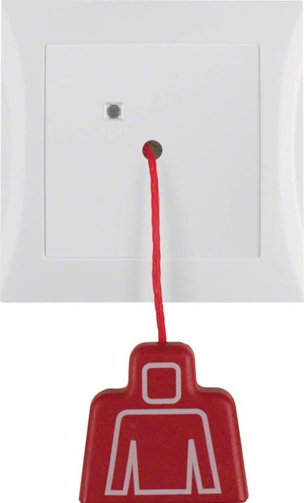 Produktbild Berker Zugtaster