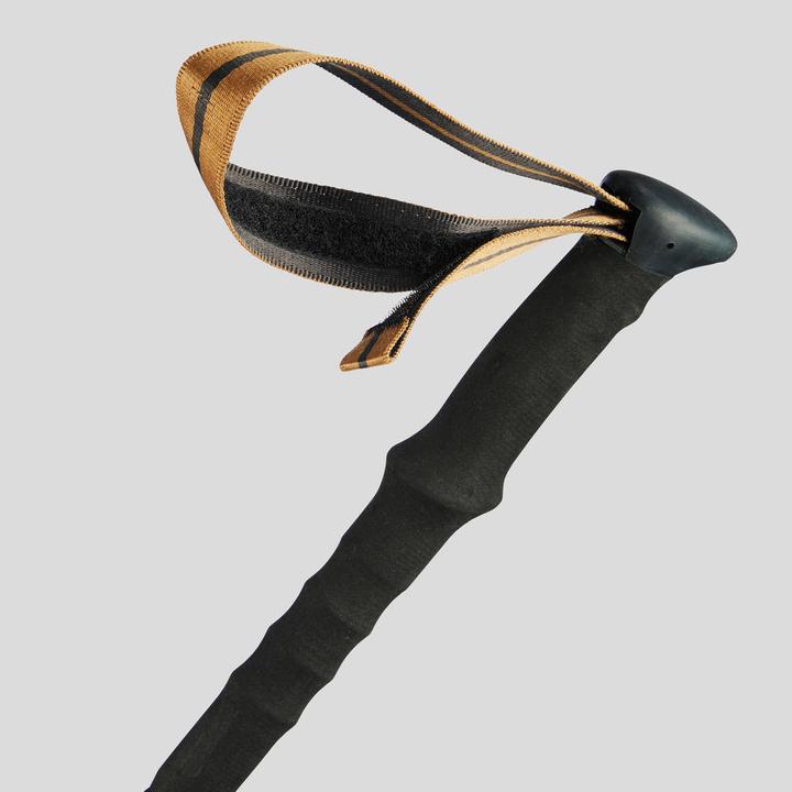 Produktbild Forclaz 1 TREKKING POLE MT 900 172316