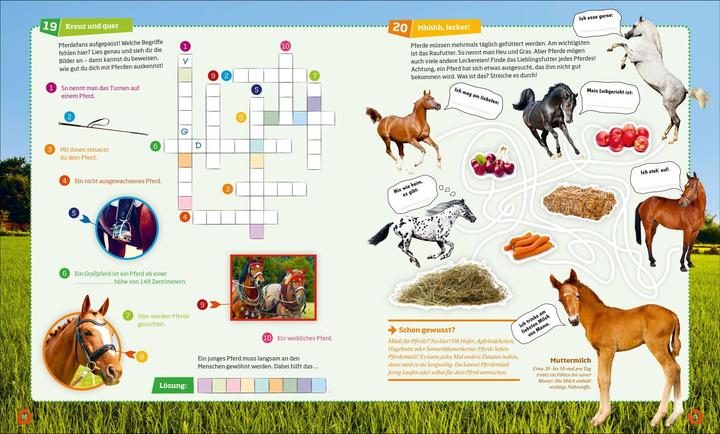 Produktbild Tessloff Rätseln und Stickern: Pferde (Deutsch, Anja Starigk, 2016)