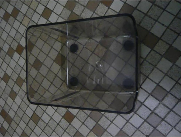 Immagine prodotto Leifheit Ciotola per Cherrymat