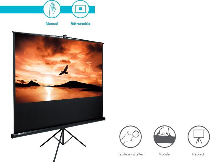 Actual product image Lumene ARCADIA/200V (78.74", 4:3)