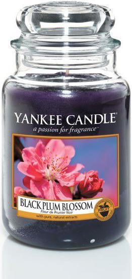 Yankee Candle Grande jarre (623 g)