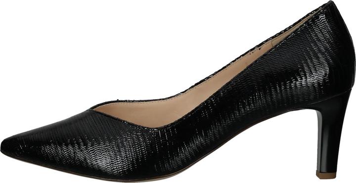Image du produit Högl Pumps (40)