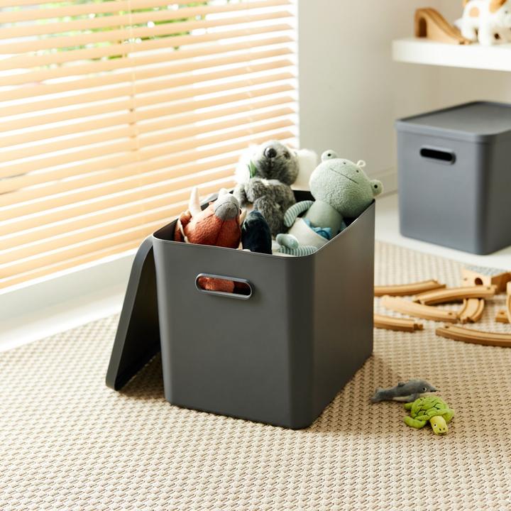 Actual product image Rotho Albula (29 cm, 27 l, 1x)