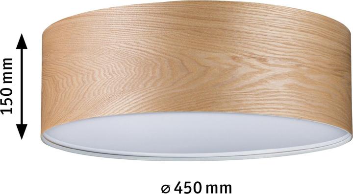 Image du produit Paulmann Liska nordique (E27)