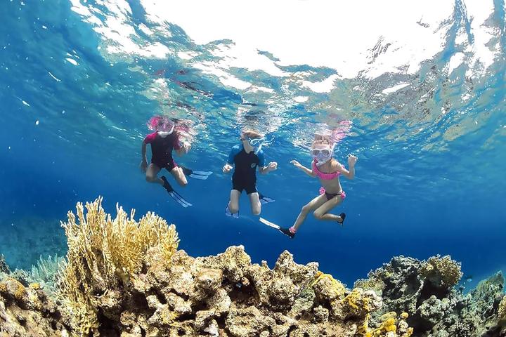 Actual product image Cressi Little Shark (2 mm, 164)