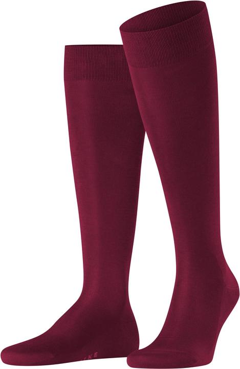 8596 barolo