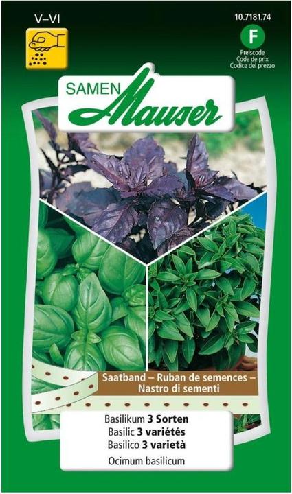 Produktbild Samen Mauser Basilikum 3 Sorten (Kräutersamen)