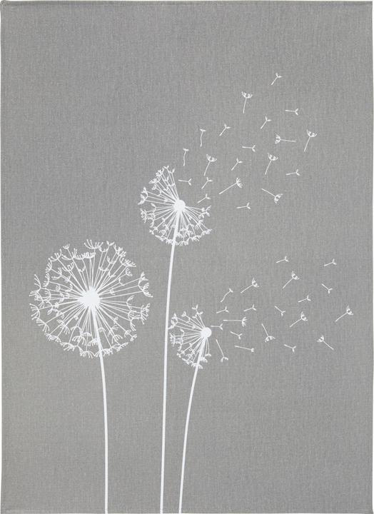 Produktbild Erwin Müller Baumwoll-Geschirrtuch 4er-Pack (50 x 70 cm)
