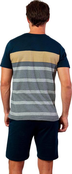 Beige, Grau, Marineblau, Schwarz