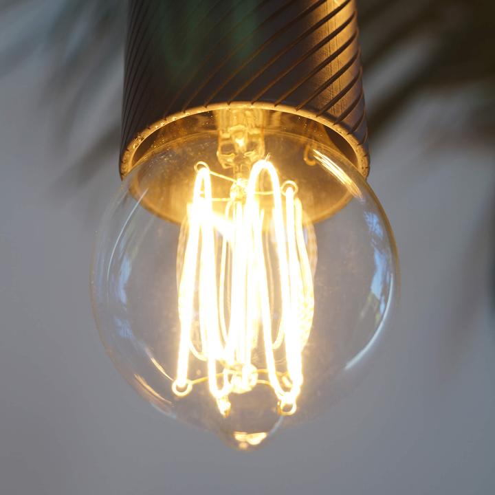 Actual product image Segula LED Soft bulb Cage E27 dimmable. (E27, 570 lm, 1x)