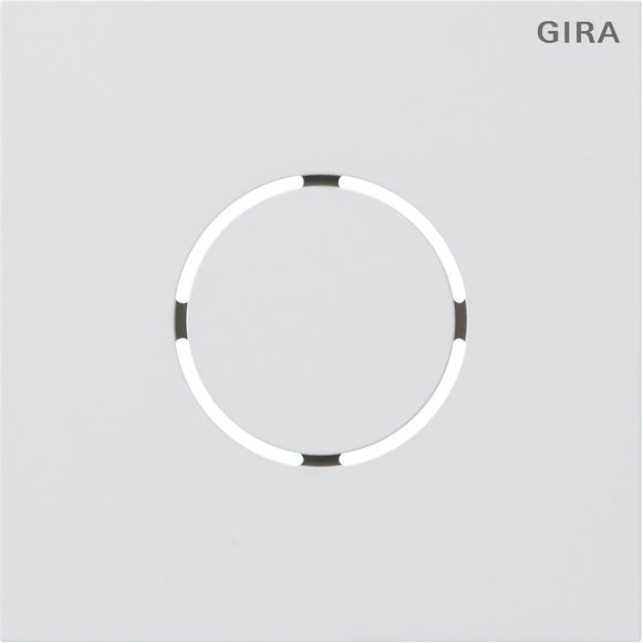Gira, Klingel + Türsprechanlage, Frontplatte