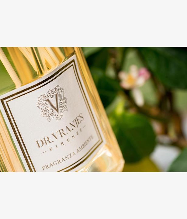 Produktbild Dr. Vranjes Diffusor Ginger Lime (500 ml)