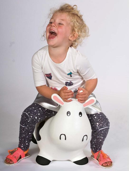 Image du produit NoName Ma vache à rebondir