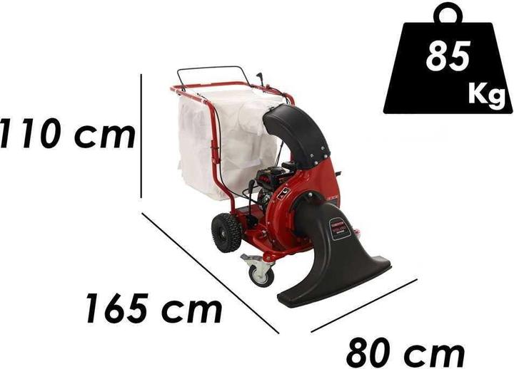 Immagine prodotto Weibang WBLV506C (Benzina, Aspirafoglie)