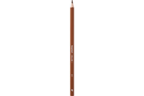Immagine prodotto Bruynzeel Matita colorata Colorexpress (Marrone chiaro, 60516941 x)